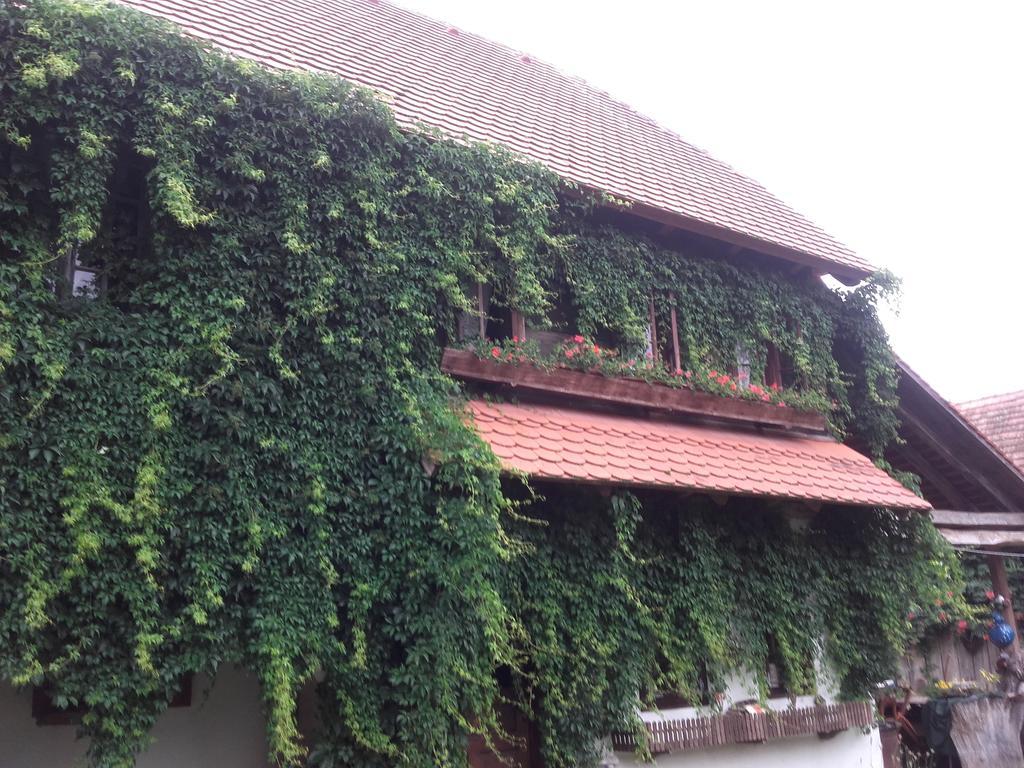 Gasthaus Rural Tourism Family Ravlic Muzilovcica Exterior foto