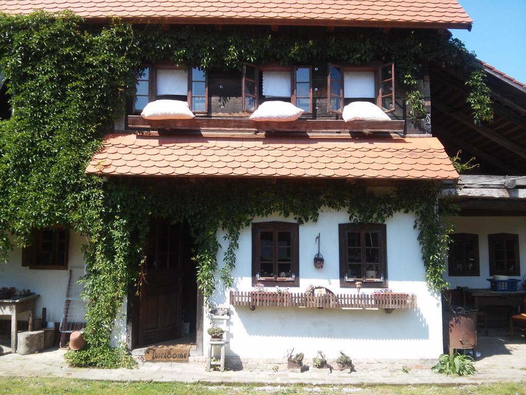 Gasthaus Rural Tourism Family Ravlic Muzilovcica Exterior foto